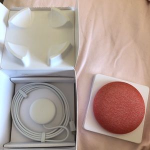 Google home mini Coral Color